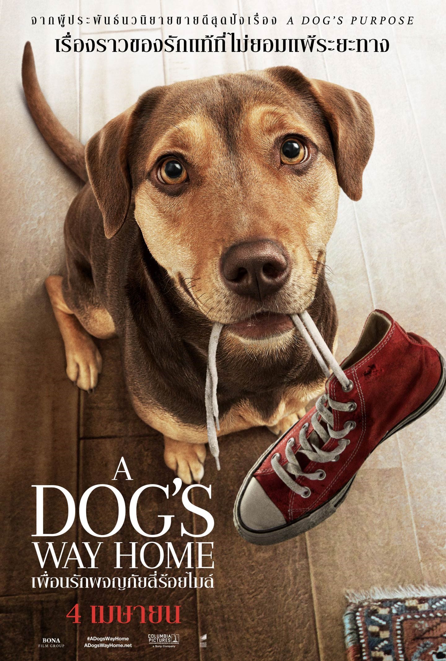 A Dog’s Way Home (2019) เพื่อนรักผจญภัยสี่ร้อยไมล์